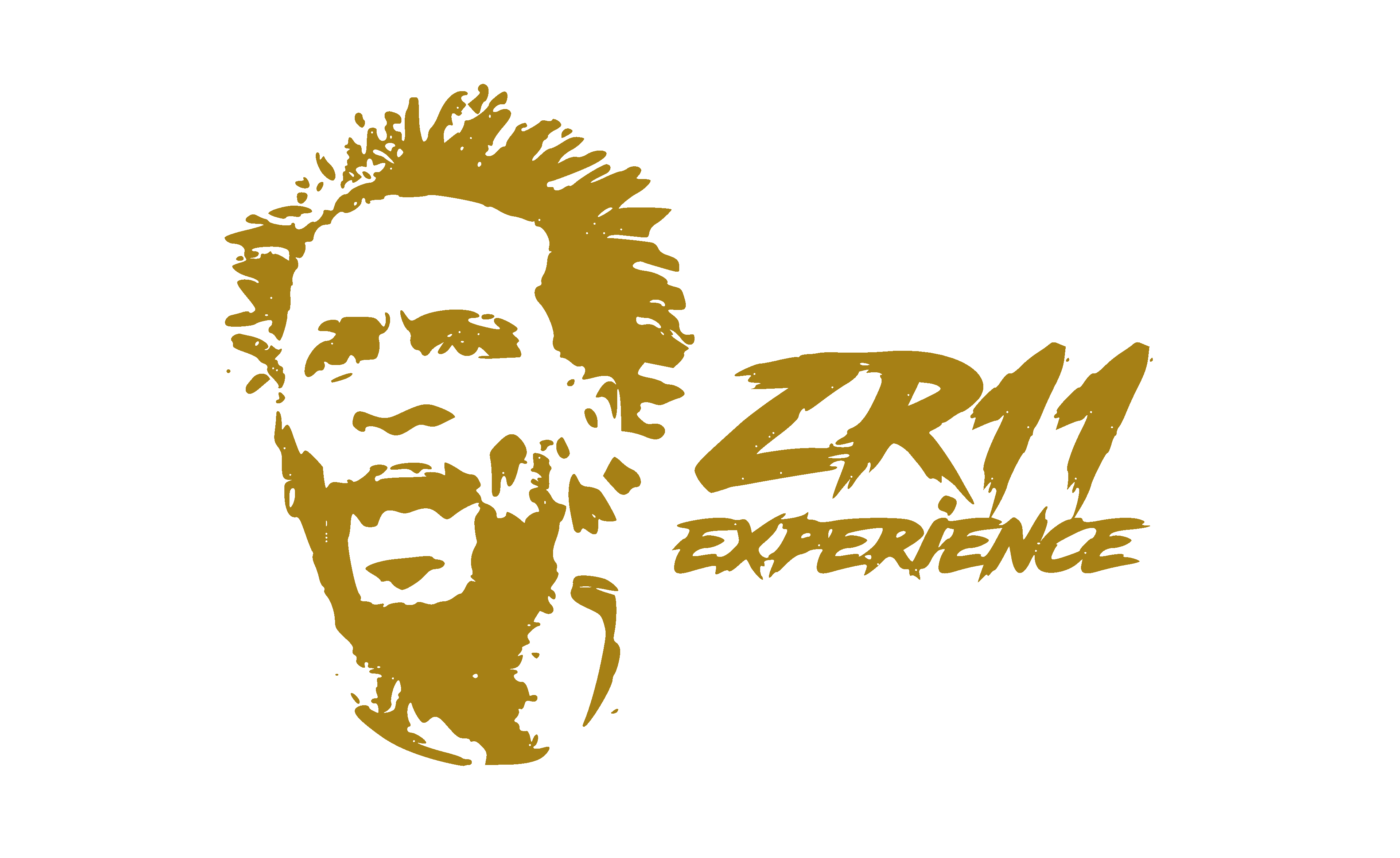 ZR11 Experience